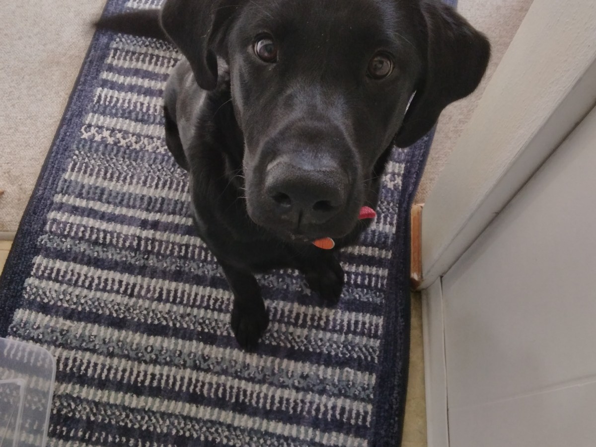 A word from&nbsp;Thor…